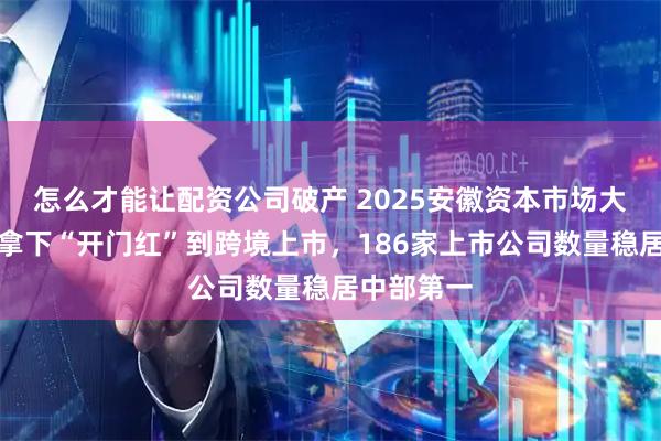 怎么才能让配资公司破产 2025安徽资本市场大事记：从拿下“开门红”到跨境上市，186家上市公司数量稳居中部第一