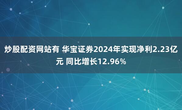 炒股配资网站有 华宝证券2024年实现净利2.23亿元 同比增长12.96%