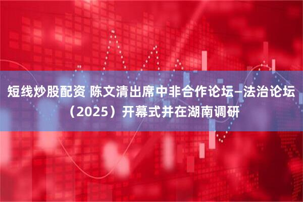 短线炒股配资 陈文清出席中非合作论坛—法治论坛（2025）开幕式并在湖南调研