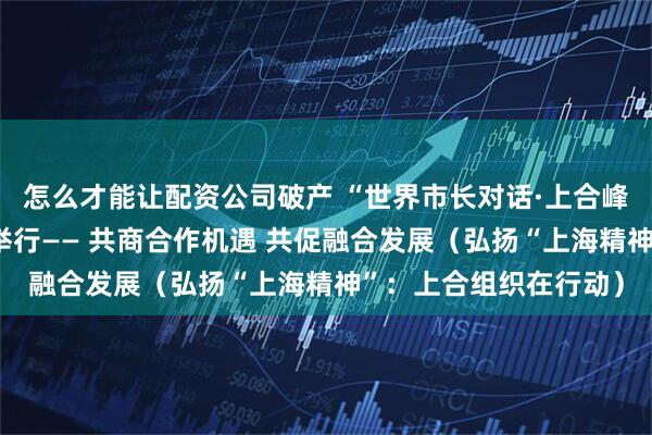 怎么才能让配资公司破产 “世界市长对话·上合峰会城市”活动在天津举行—— 共商合作机遇 共促融合发展（弘扬“上海精神”：上合组织在行动）